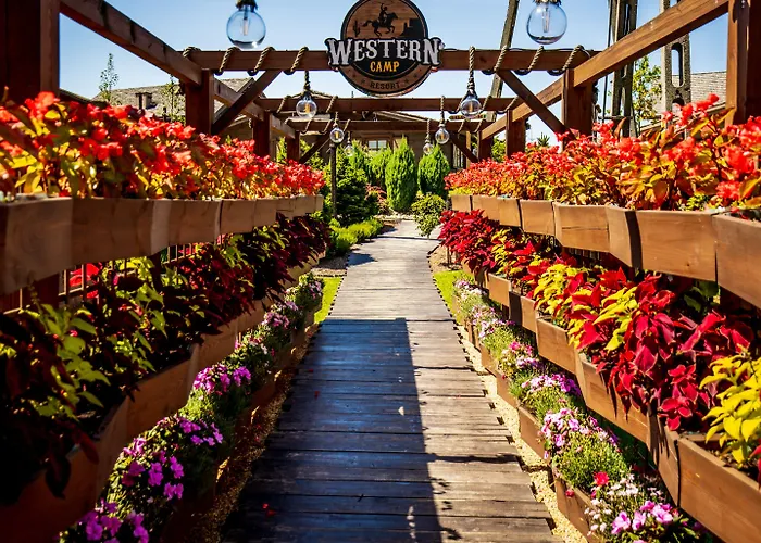 Western Camp ザトル